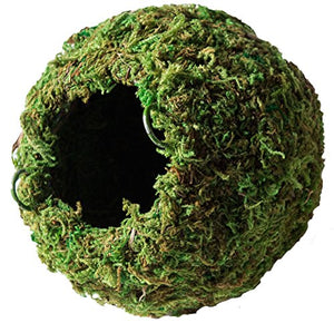 Galápagos (05346) Mossy Cave Hide, 4", Green