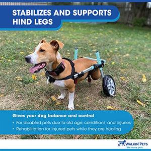 Walkin' Wheels Small Dog Wheelchair, Lightweight Dog Wheelchair for Back Legs, 15-25 lbs, for 6-8 inches Leg Height - Blue