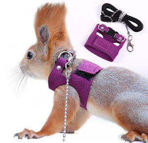 Squirrel Traction Rope Strap Anti-Biting Chain Rope, Adjustable Vest, Small Animal Walking Harness with Lead Leash, Hamster Gerbil Rat Mouse Ferret Chinchilla Small Animal Walking Leash