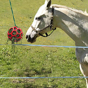 Besimple 2 Pack Horse Treat Ball Hay Feeder Toy, Goat Feeder Ball Hanging Feeding Toy for Horse Goat Sheep Relieve Stress(Red)