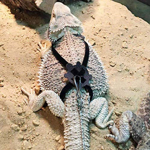 2 Pack Adjustable Reptile Harness and Leash for Lizard Gecko Bearded Dragon Outside Walk (Black)