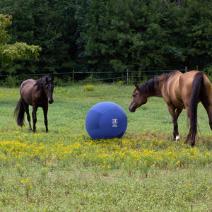 Harrison Howard Howdy Bally Horse Mega Ball Cover for Equine 22-Inch Champion Blue